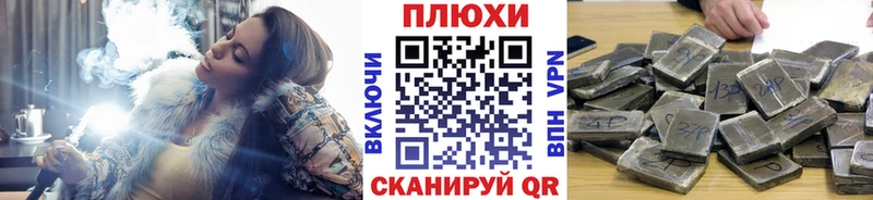 где можно купить   Кизел  ГАШ Premium 